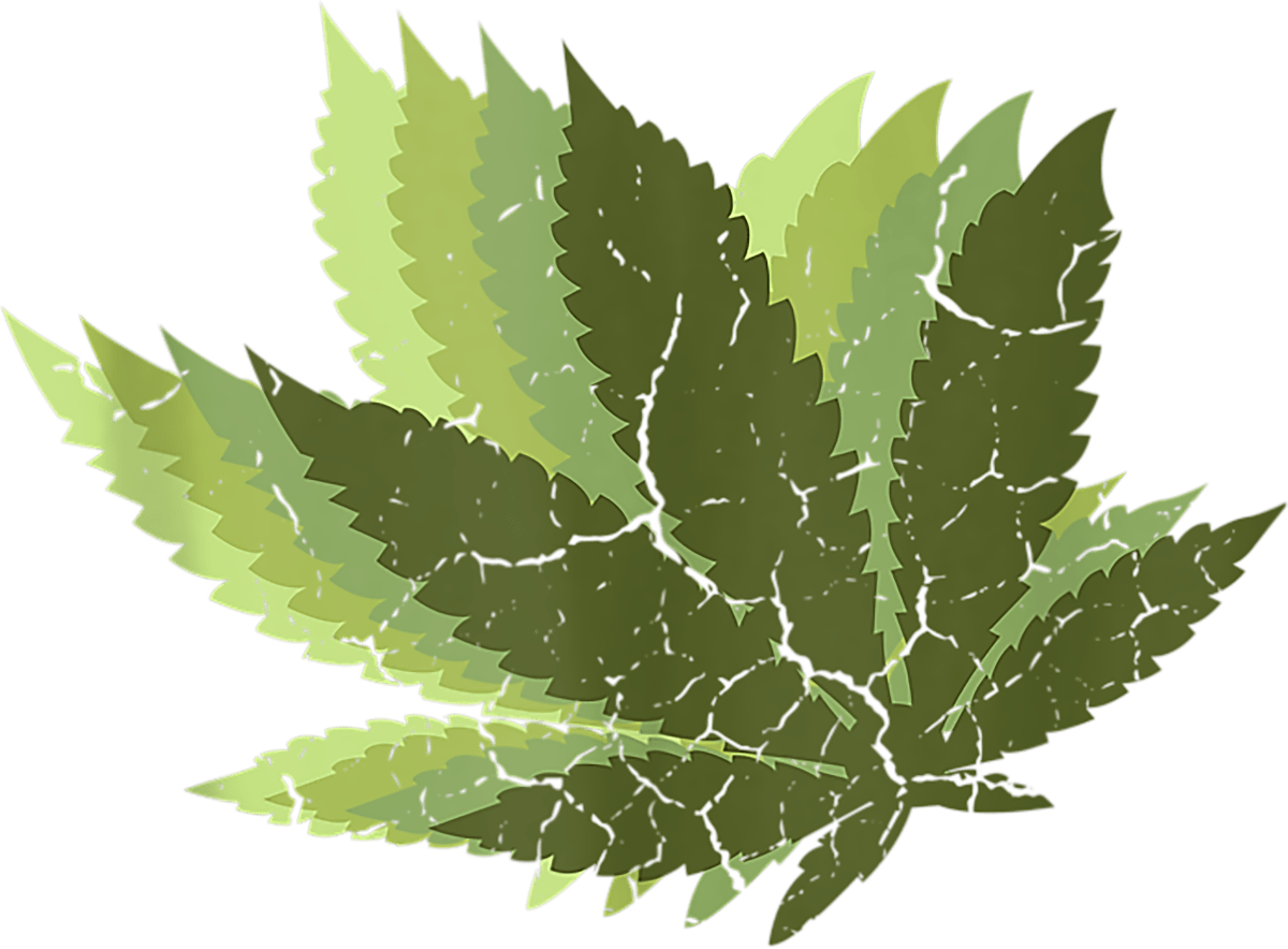 Marijuana Leaf Vintage Ready To Press DTF Transfer - Buy Bulk DTF