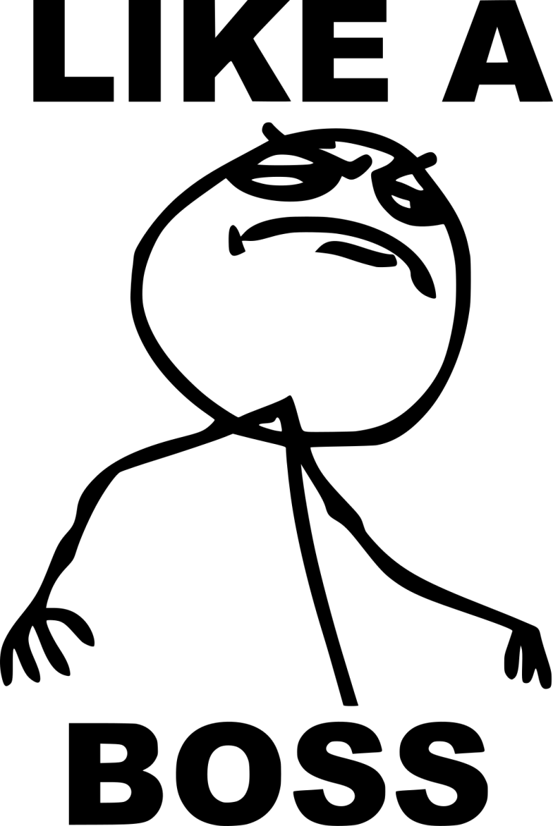 Meme 63 - Ready To Press DTF Transfer - Buy Bulk DTF