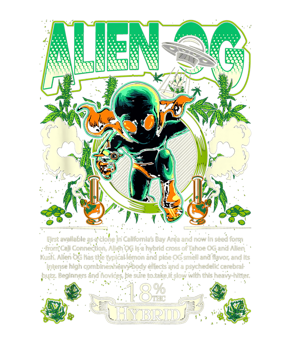 MOCKUP 66 Ready To Press DTF Transfer - Buy Bulk DTF