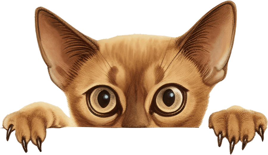 Mysterious Cat Tales - Ready to Press DTF Transfers - Buy Bulk DTF