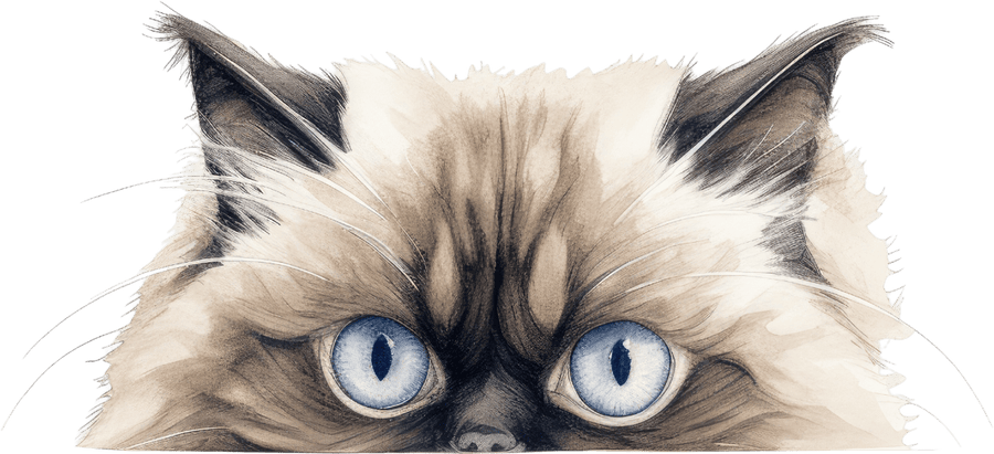 Mysterious Kitties - Ready to Press DTF Transfers - Buy Bulk DTF