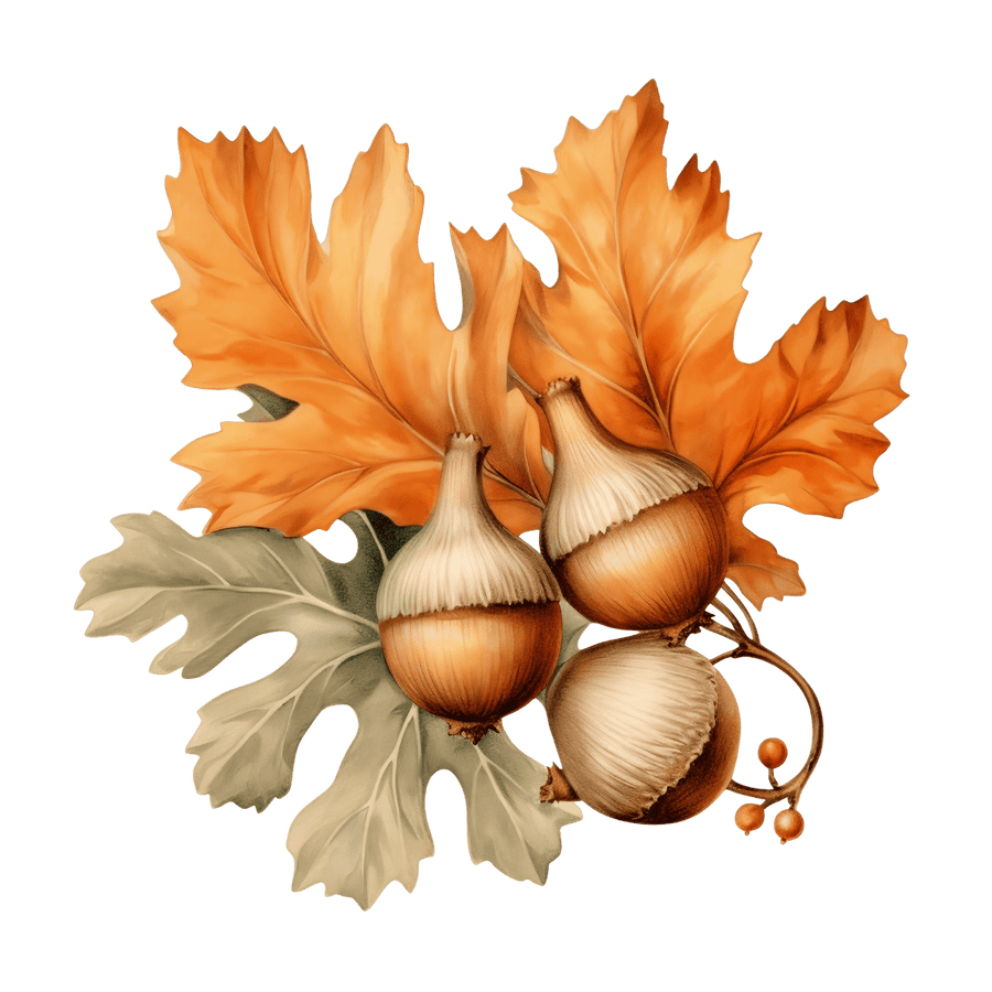 Nature’s Palette - Ready To Press DTF Transfer - Buy Bulk DTF