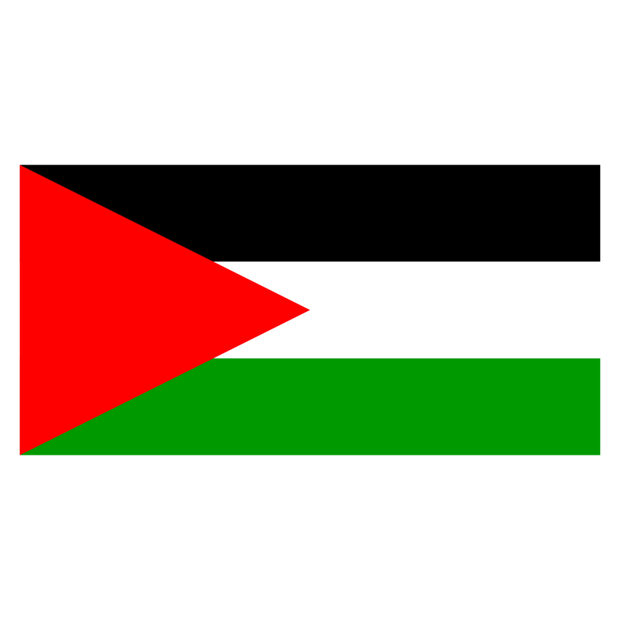 Palestine - Ready To Press DTF Transfer - Buy Bulk DTF