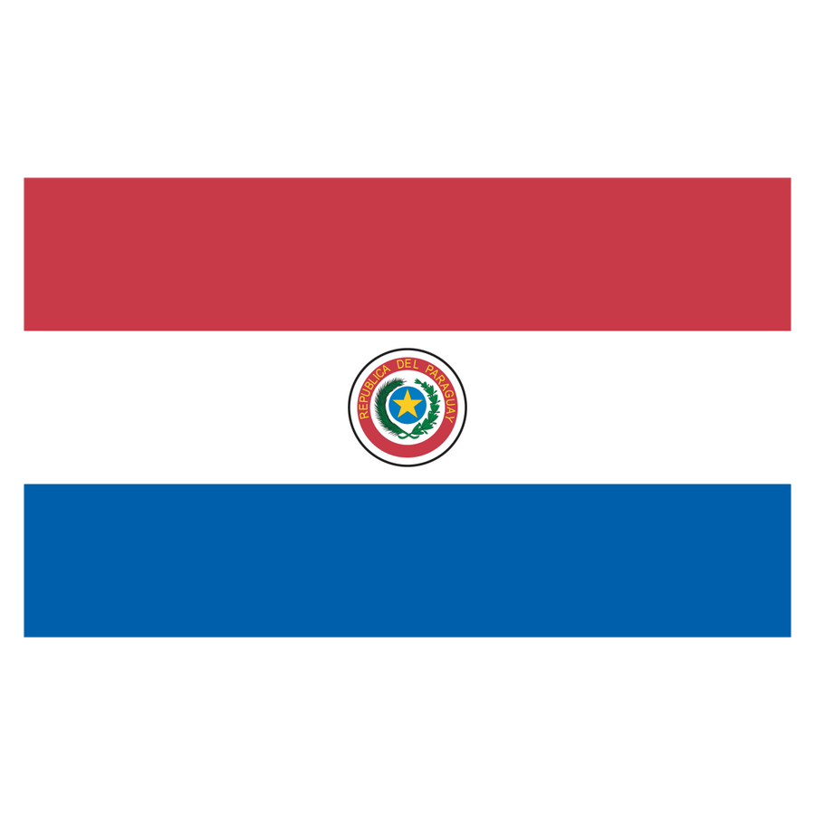Paraguay - Ready To Press DTF Transfer - Buy Bulk DTF
