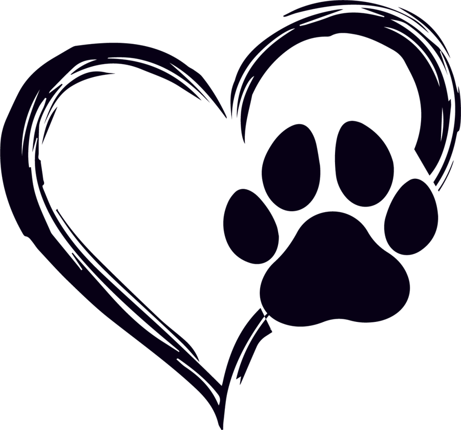 Paws & Lattes - Ready to Press DTF Transfers - Buy Bulk DTF