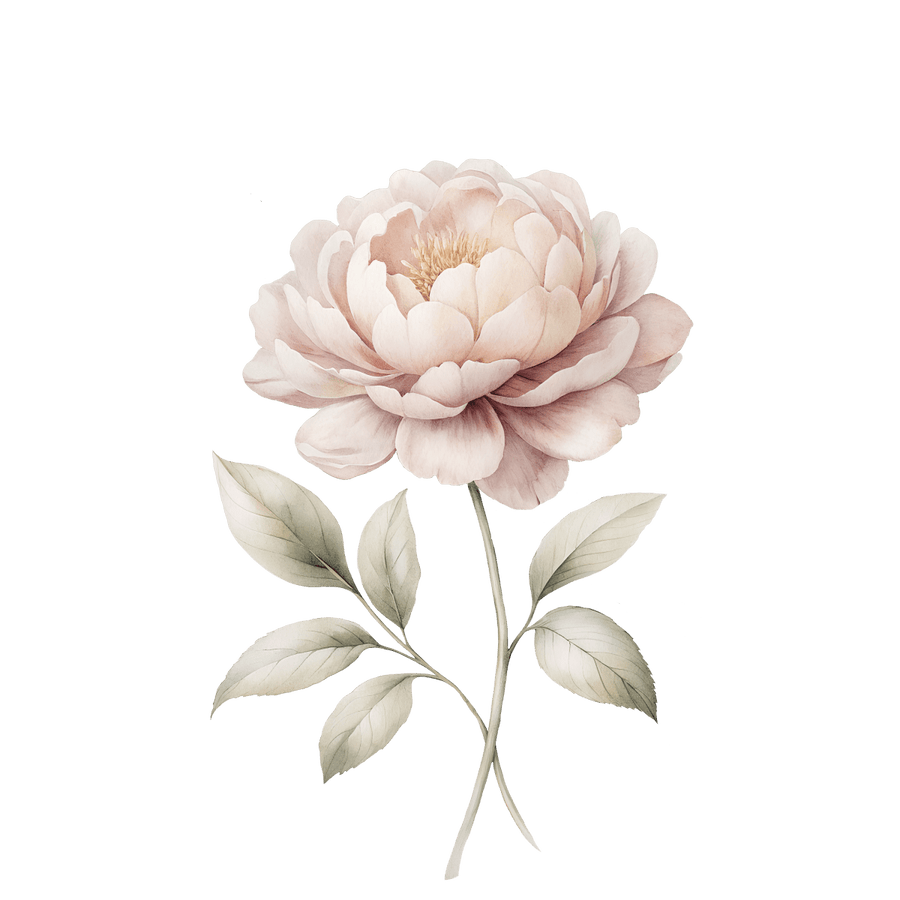 Peony - Ready To Press DTF Transfers - Buy Bulk DTF