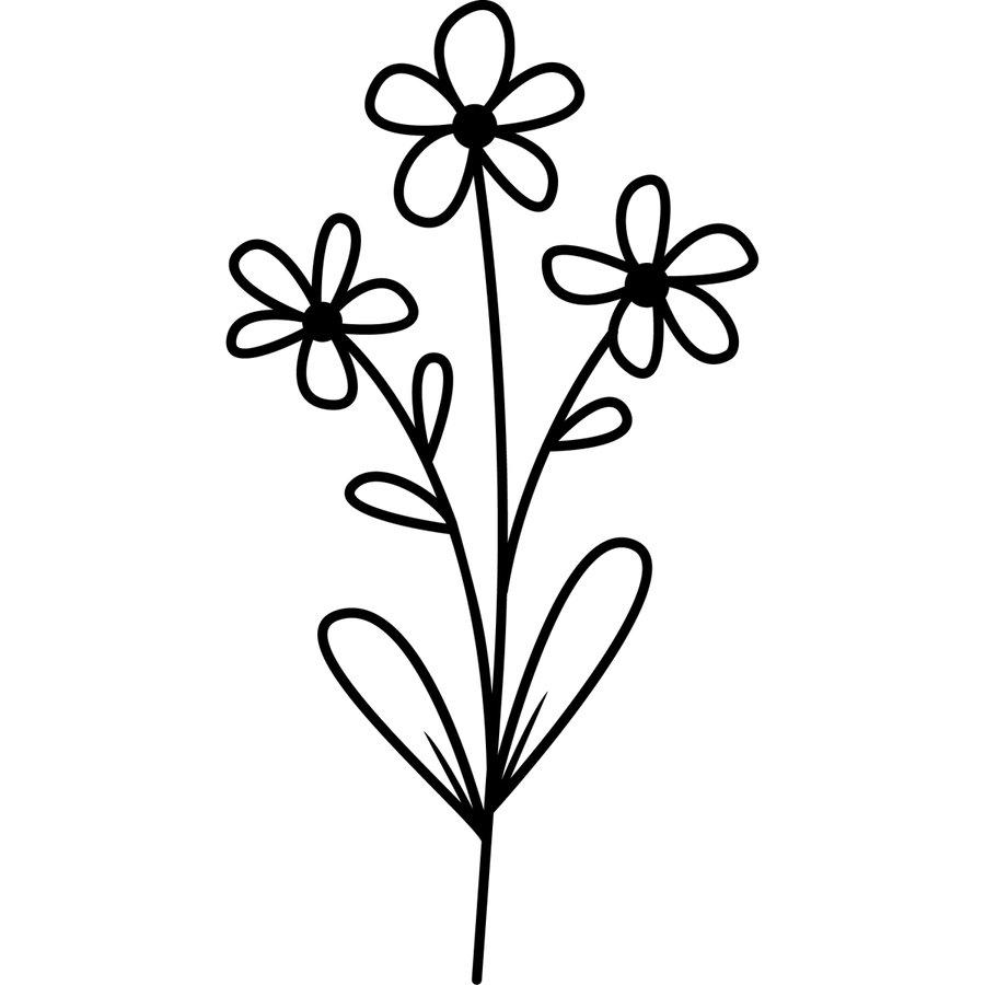 Petal Play - Ready To Press DTF Transfers - Buy Bulk DTF