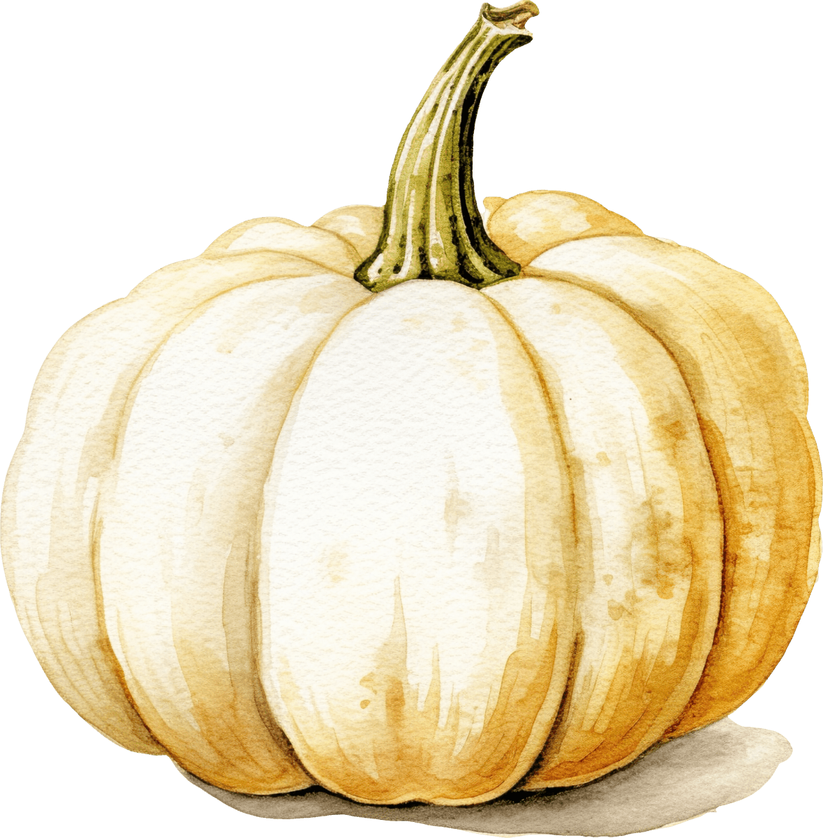 Pumpkin Cream 02 - Ready To Press DTF Transfers - Buy Bulk DTF