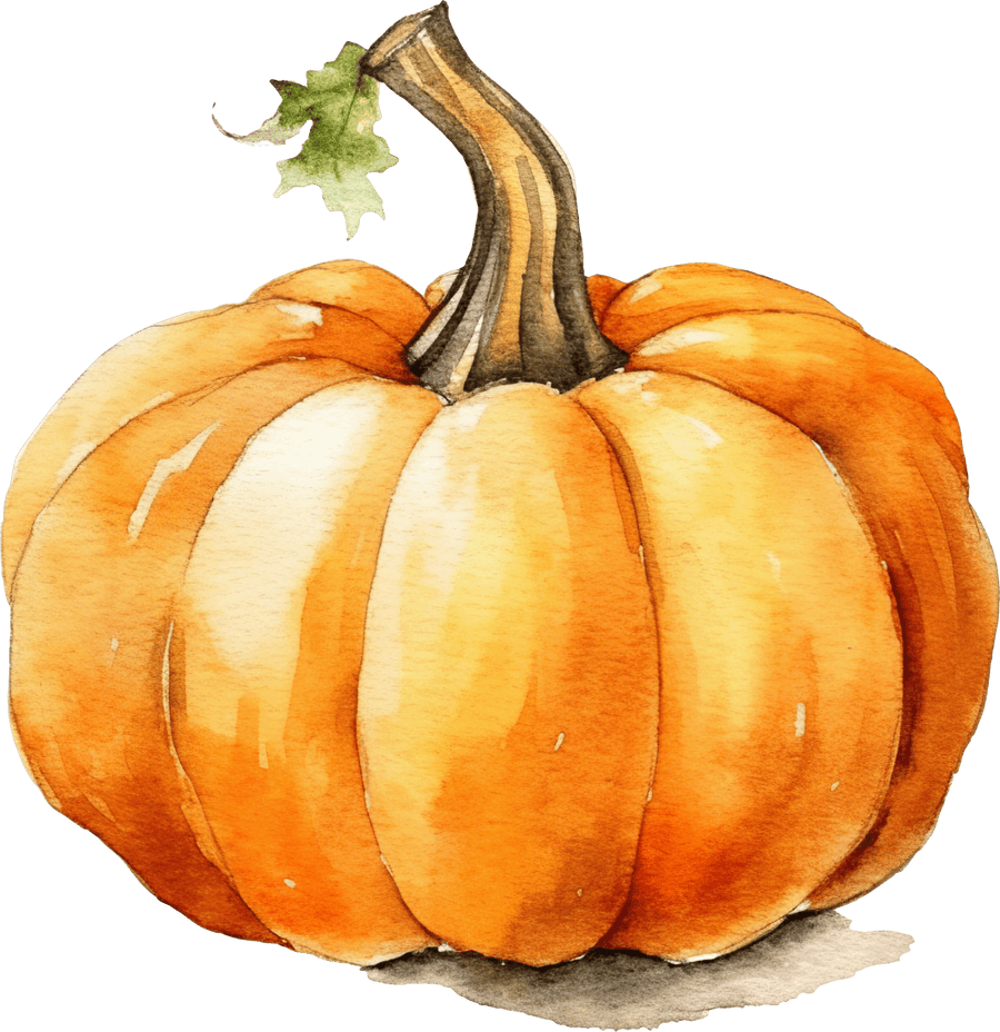 Pumpkin Orange 04 - Ready To Press DTF Transfers - Buy Bulk DTF