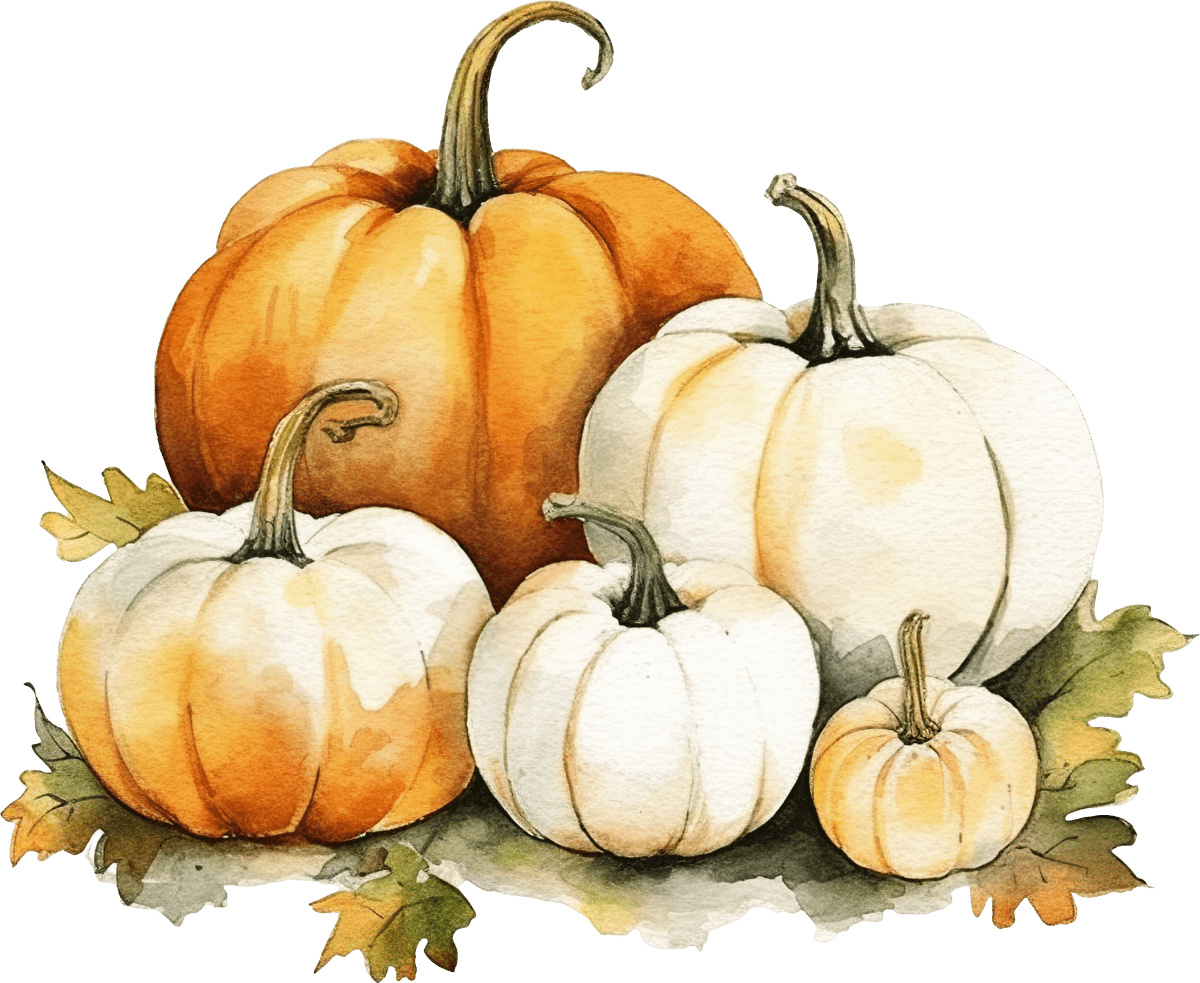 Pumpkin Set - Ready To Press DTF Transfers - Buy Bulk DTF