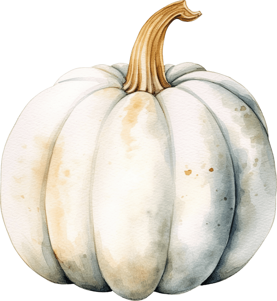 Pumpkin White 02 - Ready To Press DTF Transfers - Buy Bulk DTF