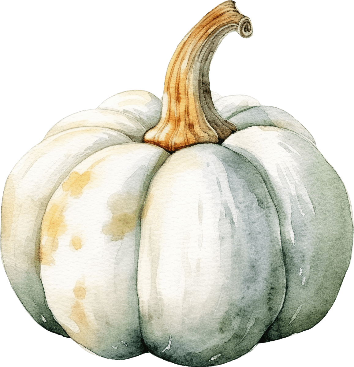 Pumpkin White - Ready To Press DTF Transfers - Buy Bulk DTF