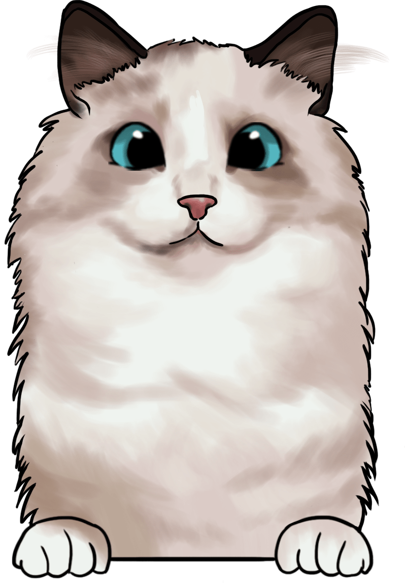 Ragdoll - Ready To Press DTF Transfers - Buy Bulk DTF