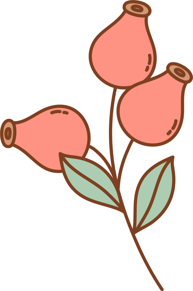 Rose Hips - Ready To Press DTF Transfer - Buy Bulk DTF