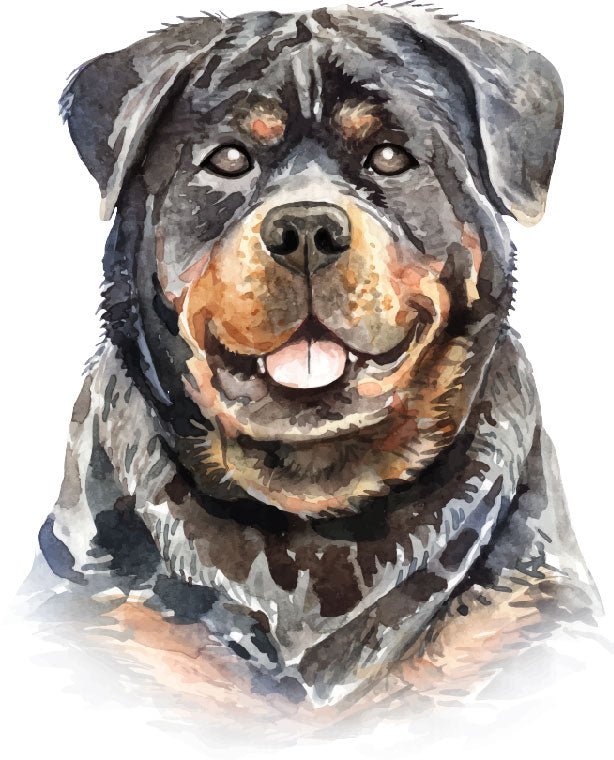 Rottweiler Dog Portrait Vinyl Sticker Ready To Press DTF Transfer - Buy Bulk DTF