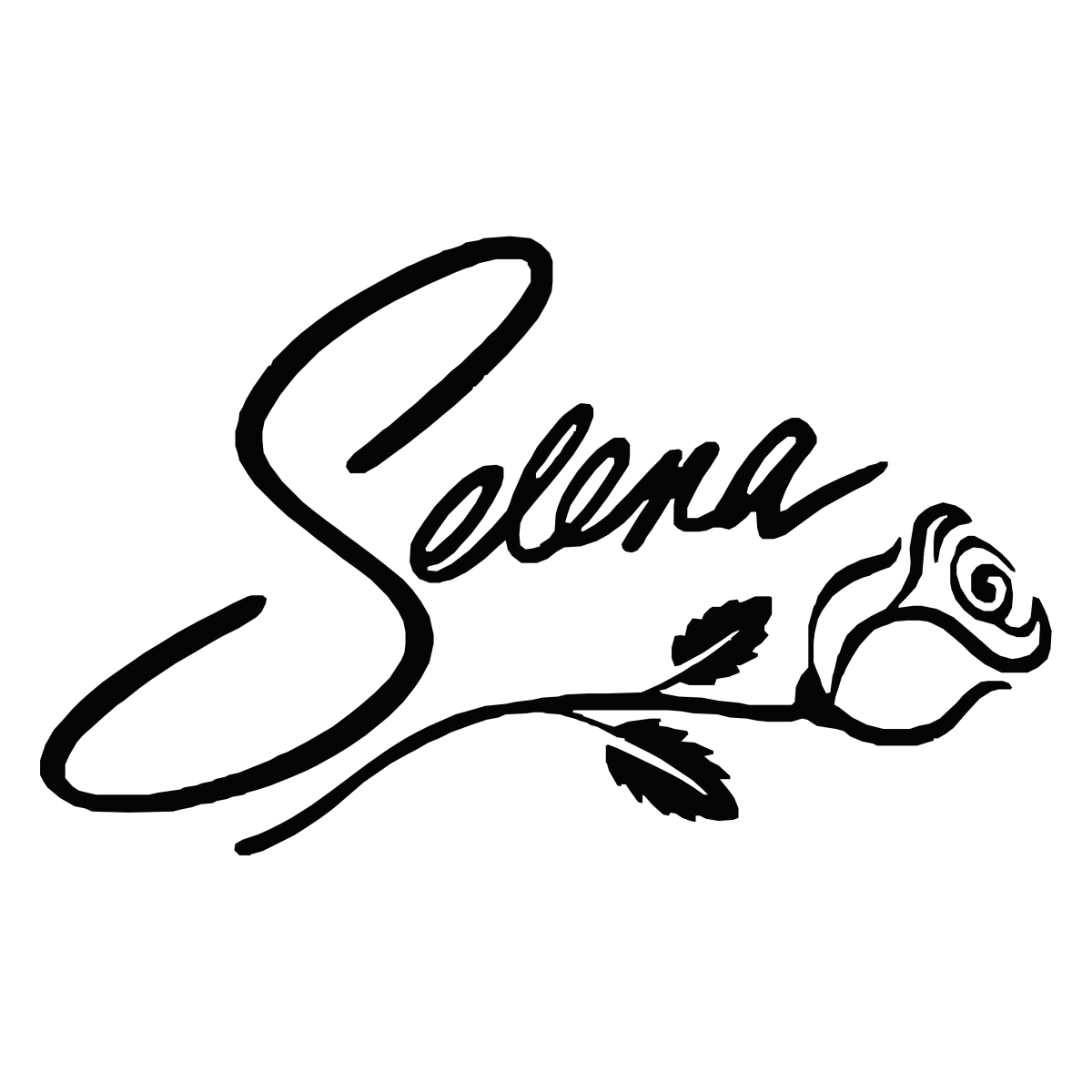 Selena's Visionary Palette - Ready To Press DTF Transfers - Buy Bulk DTF