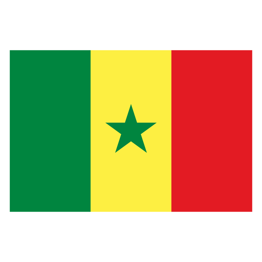 Senegal - Ready To Press DTF Transfer - Buy Bulk DTF