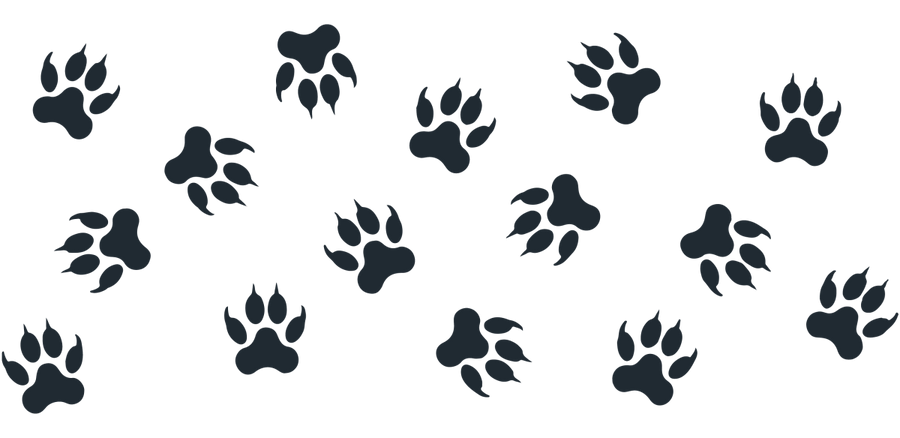 Small Dog Paws UV DTF Libbey Glass Wrap - Buy Bulk DTF