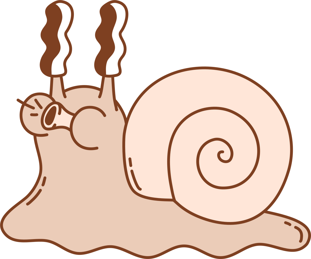 Snail - Ready To Press DTF Transfers - Buy Bulk DTF