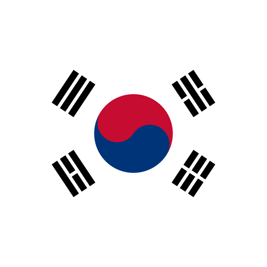 South Korea - Ready To Press DTF Transfer - Buy Bulk DTF