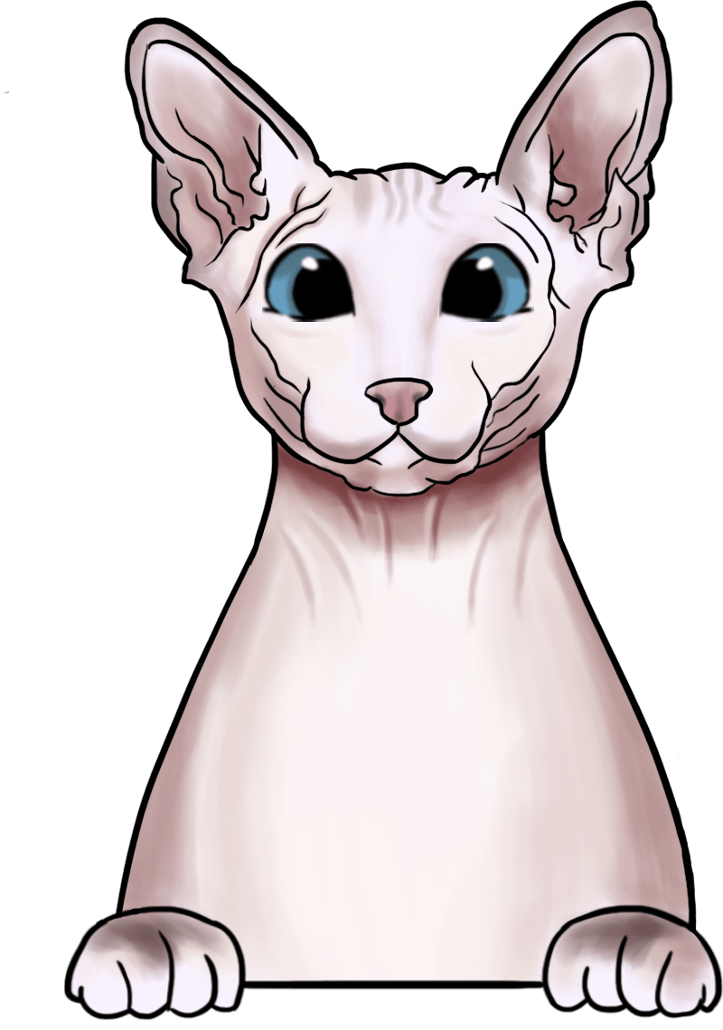 Sphynx - Ready To Press DTF Transfers - Buy Bulk DTF