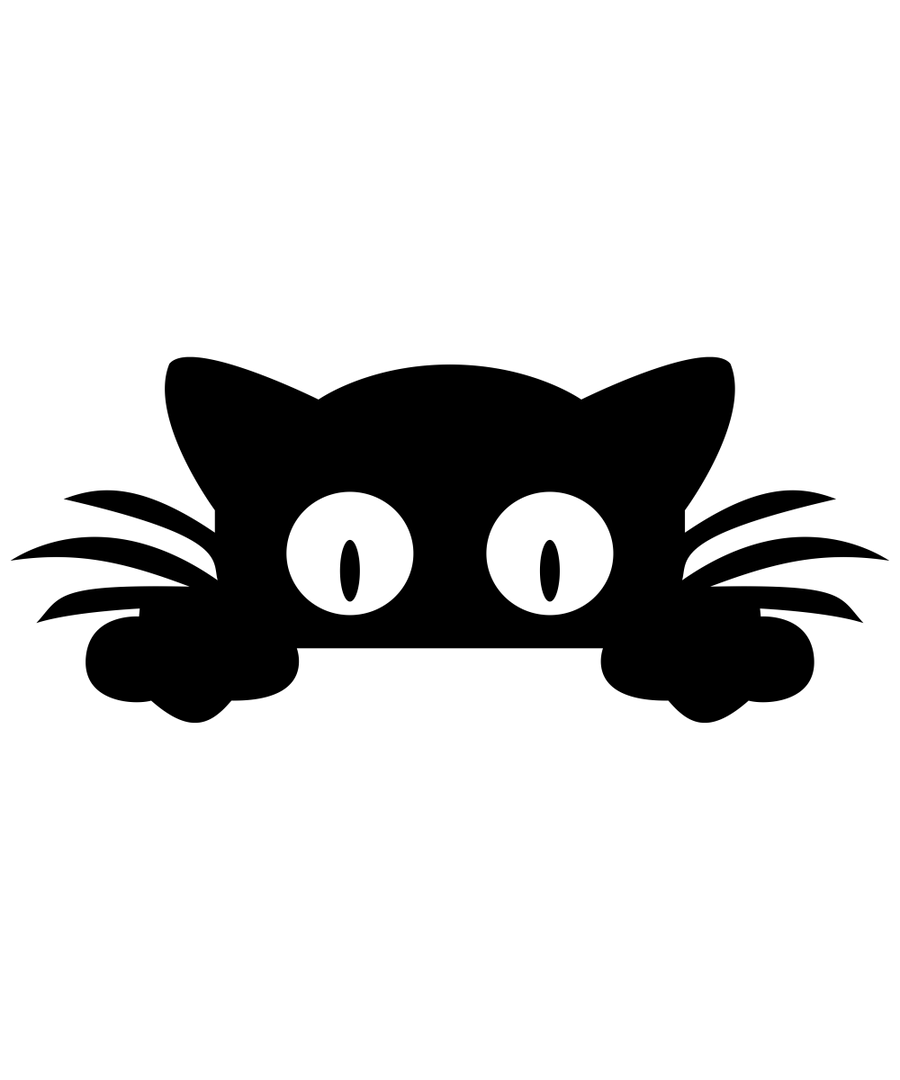 Spy Cat - Ready To Press DTF Transfer - Buy Bulk DTF