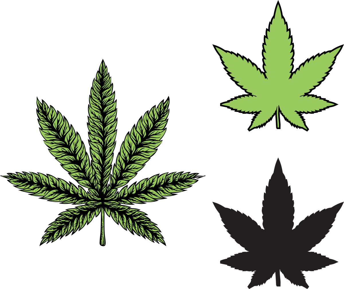 Stoner's Paradise - Ready to Press DTF Transfers - Buy Bulk DTF