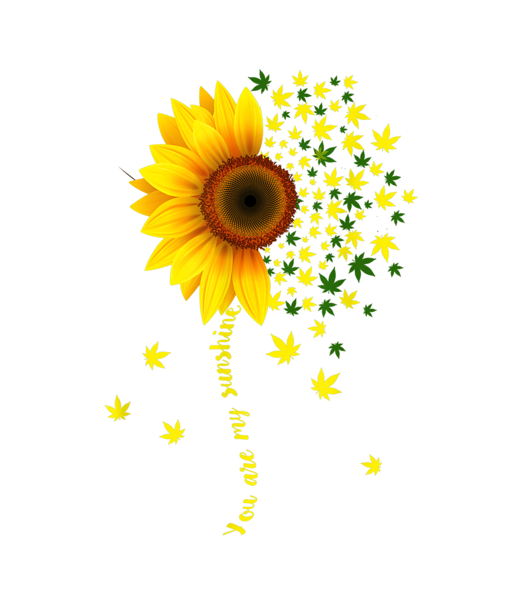 Sunflower and Cannabis Leaves - #2 Ready To Press DTF Transfer - Buy Bulk DTF