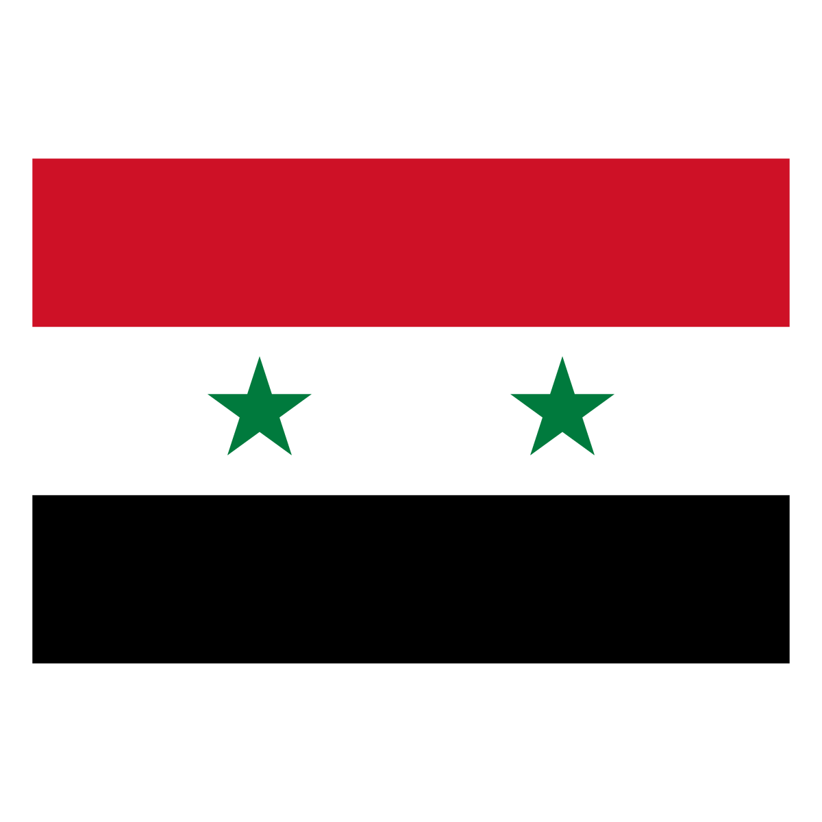 Syria - Ready To Press DTF Transfer - Buy Bulk DTF