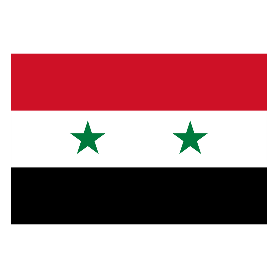 Syria - Ready To Press DTF Transfer - Buy Bulk DTF