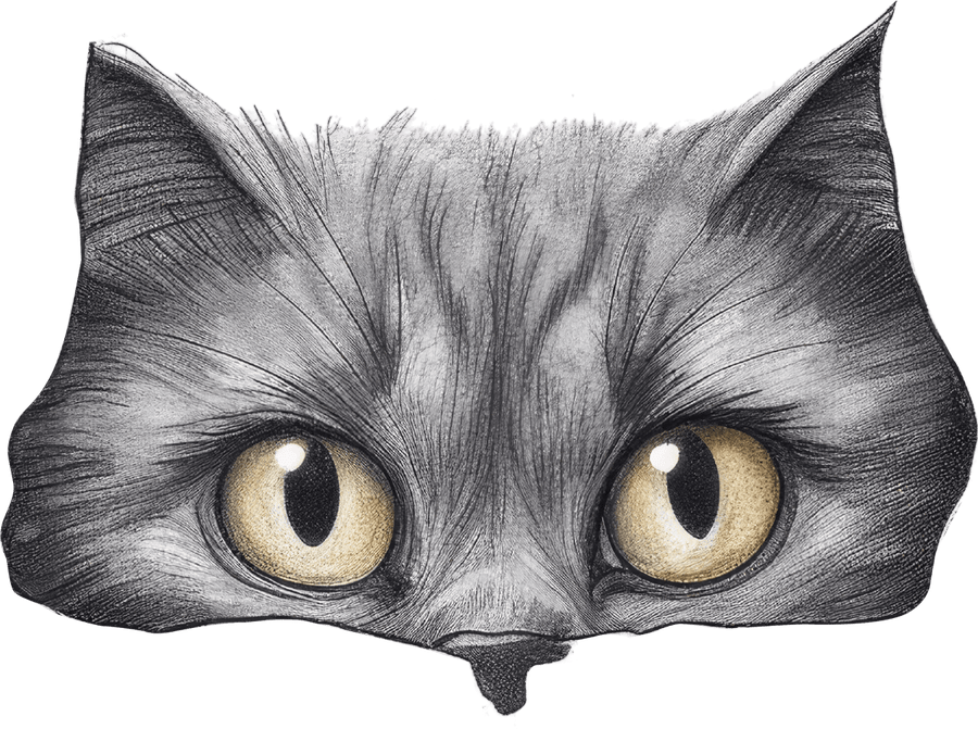 The Curious Tabby - Ready to Press DTF Transfers - Buy Bulk DTF