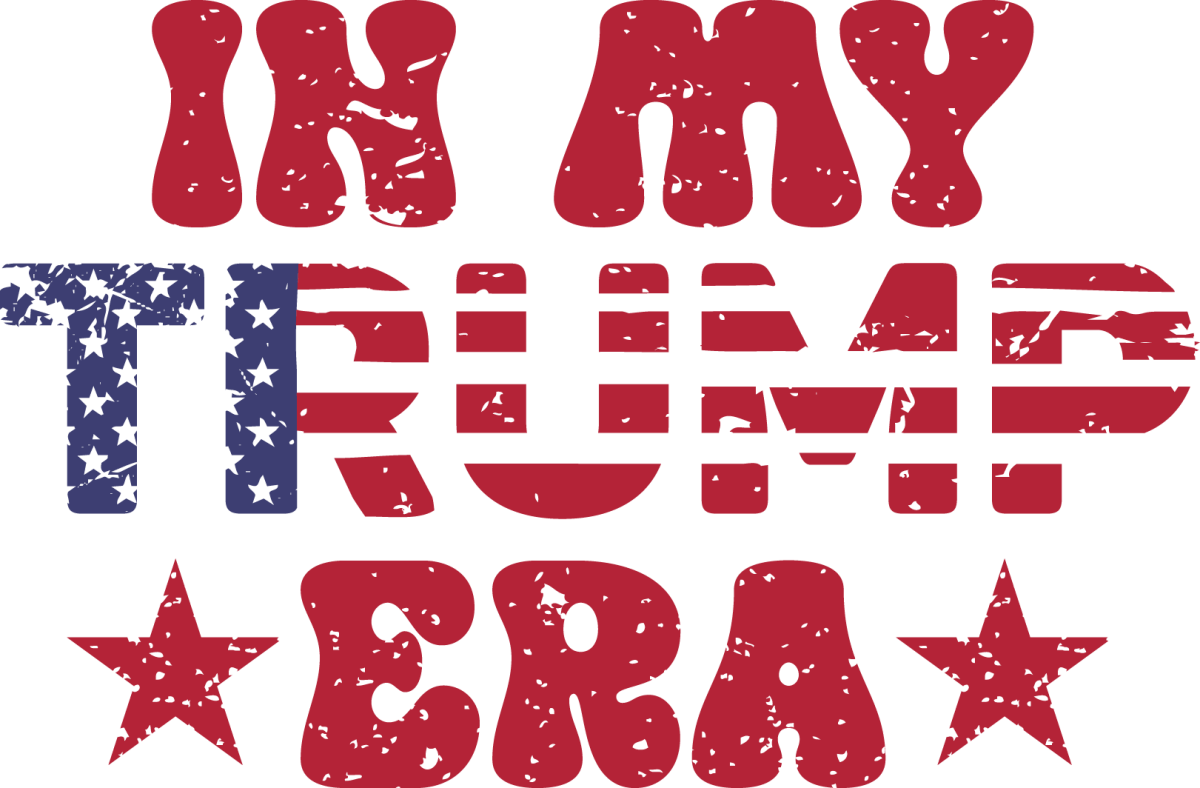 The Trump Presidency Explained - Ready To Press DTF Transfers - Buy Bulk DTF