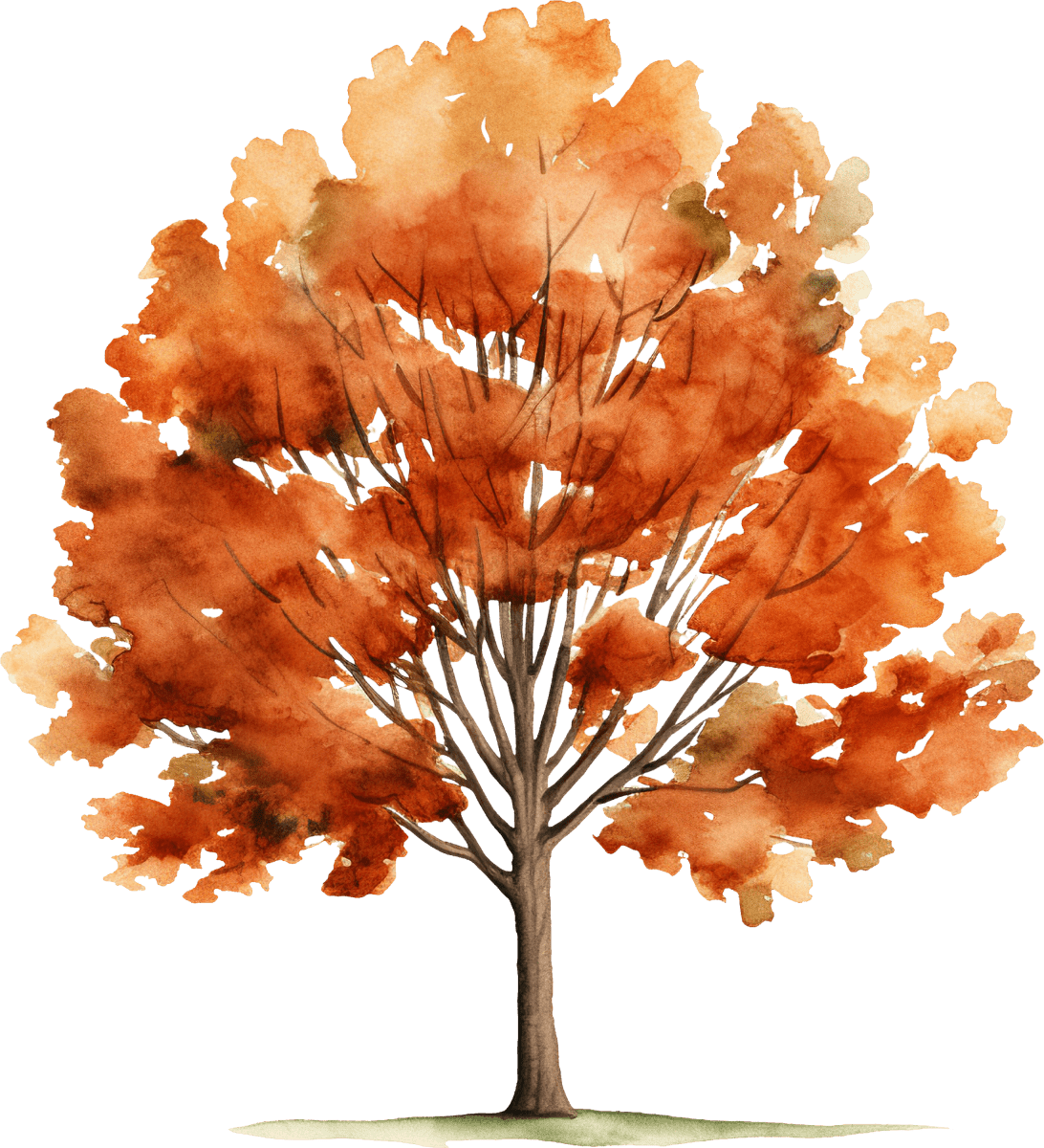 Tree 02 - Ready To Press DTF Transfers - Buy Bulk DTF