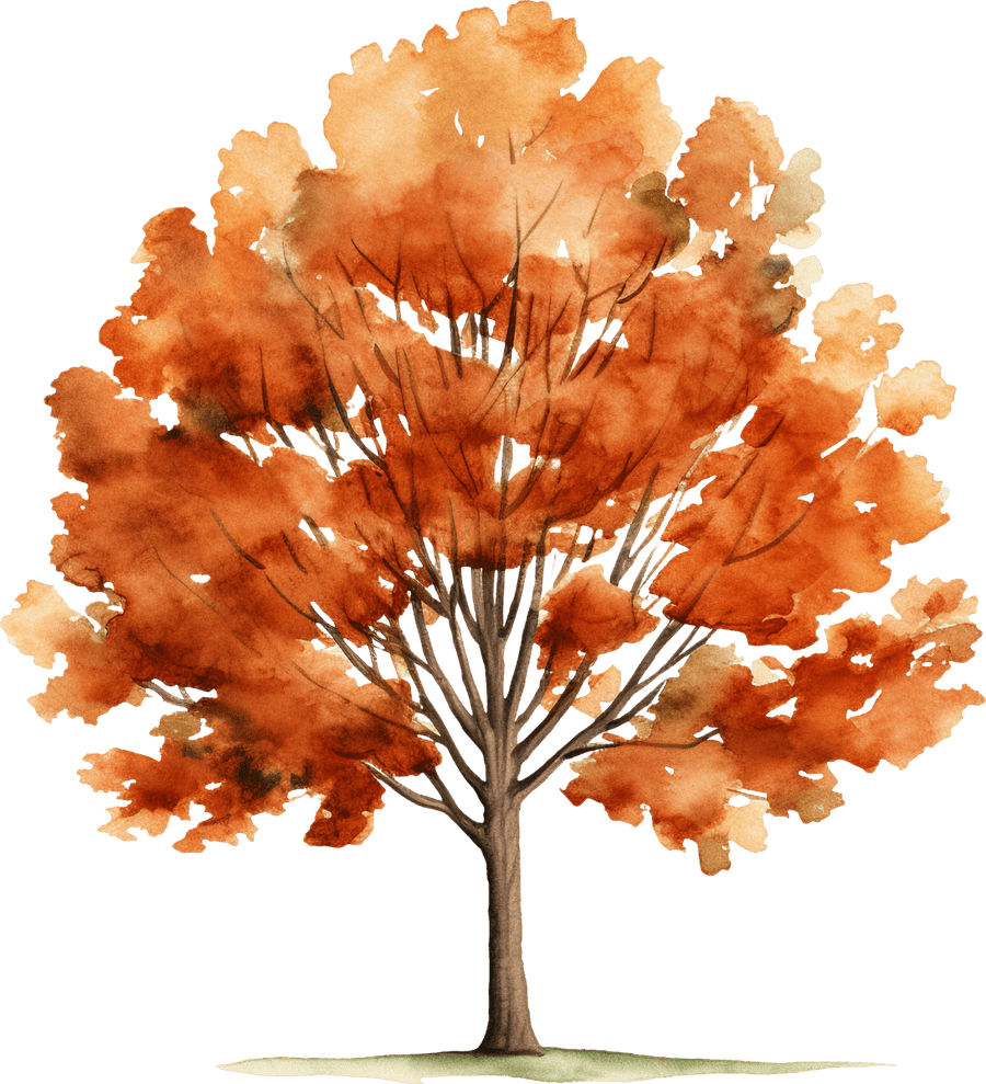 Tree 02 - Ready To Press DTF Transfers - Buy Bulk DTF