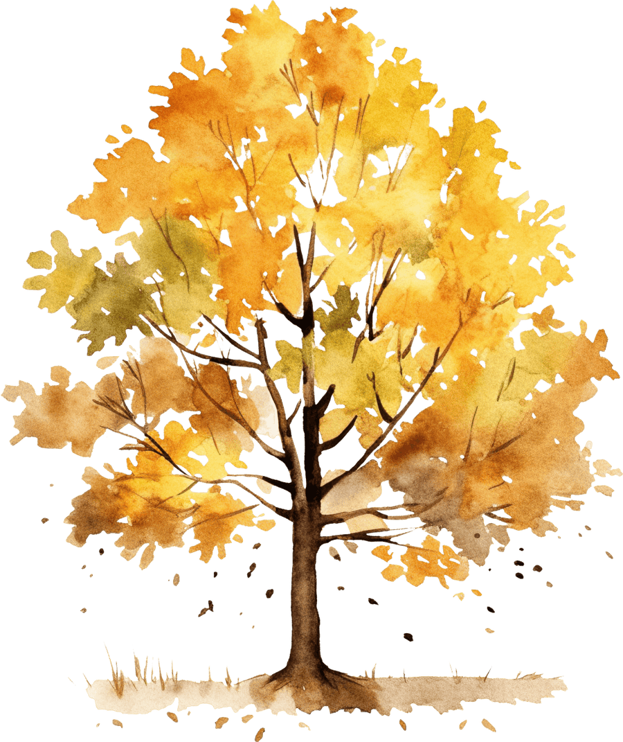 Tree - Ready To Press DTF Transfers - Buy Bulk DTF