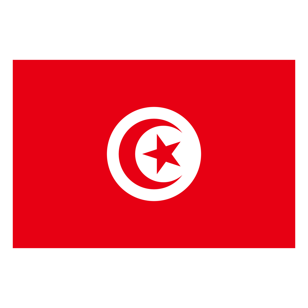Tunisia - Ready To Press DTF Transfer - Buy Bulk DTF