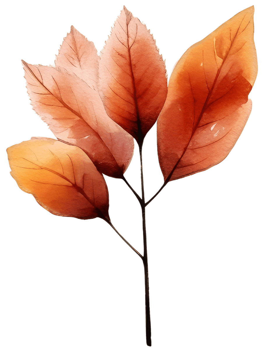 Vintage Fall Flower and Leaf Watercolor Ready to Press DTF Transfers - Buy Bulk DTF