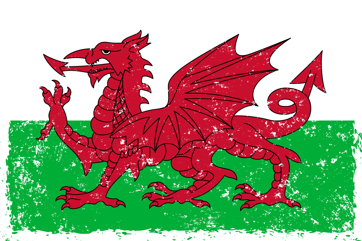 Wales - Ready To Press DTF Transfer - Buy Bulk DTF