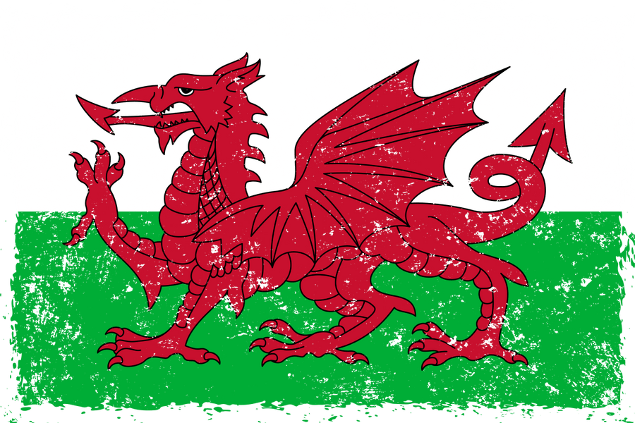 Wales - Ready To Press DTF Transfer - Buy Bulk DTF