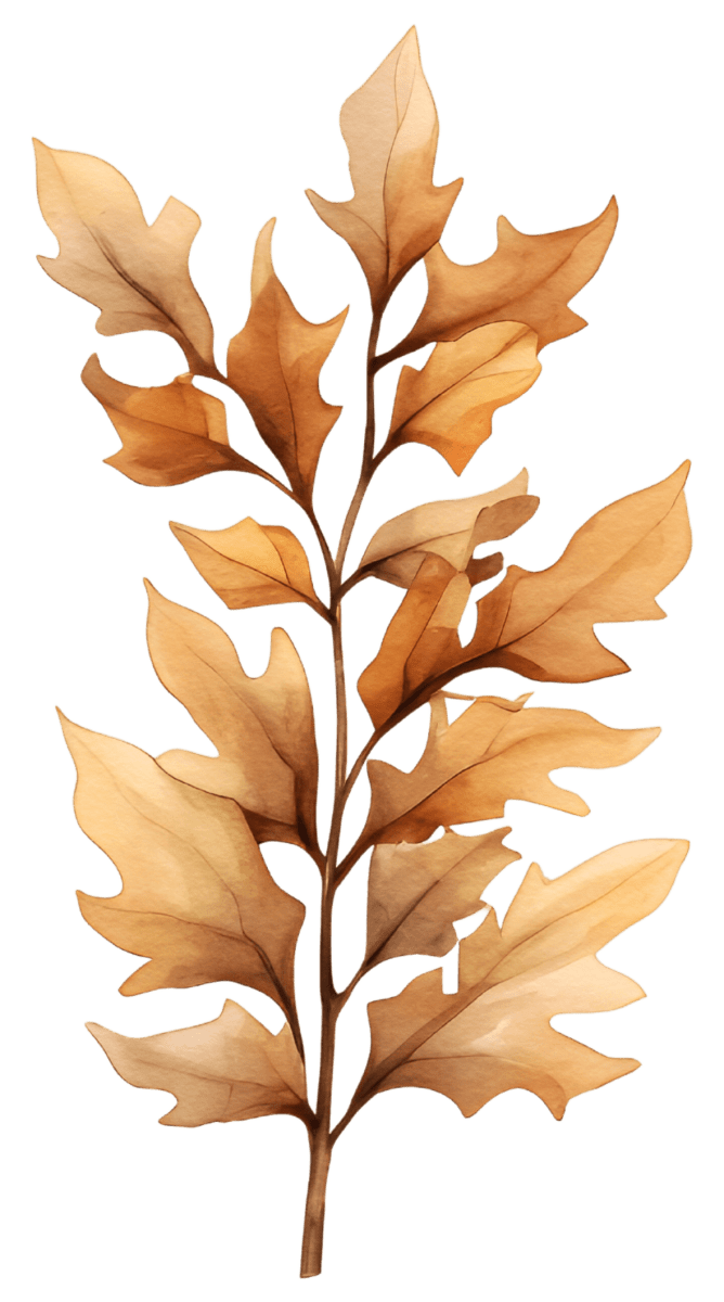 Watercolor Autumn Flowers Ready to Press DTF Transfers - Buy Bulk DTF