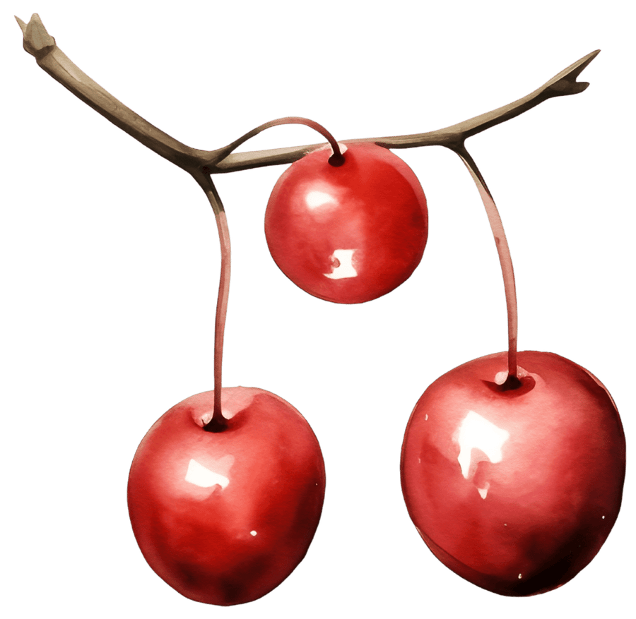 Watercolor Christmas Apples with Holly Berries Ready to Press DTF Transfers - Buy Bulk DTF
