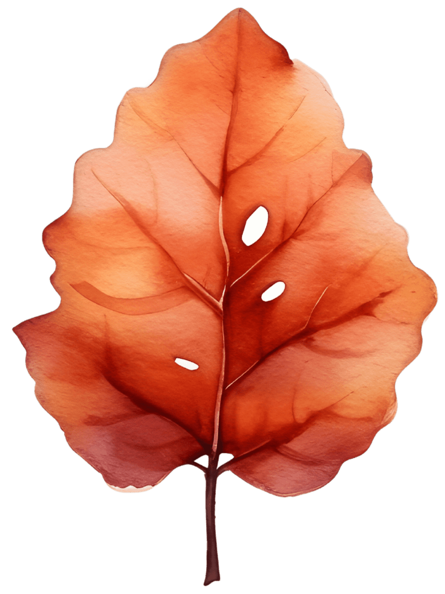 Watercolor Christmas Holly and Winter Flowers Ready to Press DTF Transfers - Buy Bulk DTF