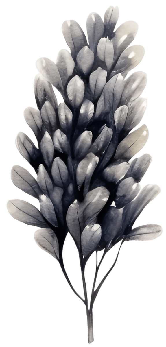 Watercolor Christmas Tree Farm Ready to Press DTF Transfers - Buy Bulk DTF