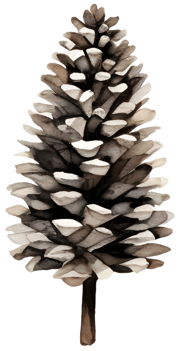 Watercolor Christmas Tree Ready to Press DTF Transfers - Buy Bulk DTF