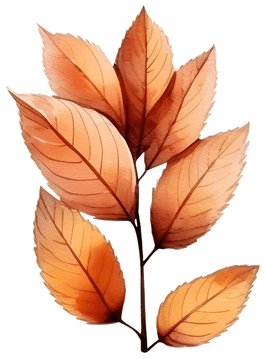 Watercolor Holiday Autumn Leaves Ready to Press DTF Transfers - Buy Bulk DTF