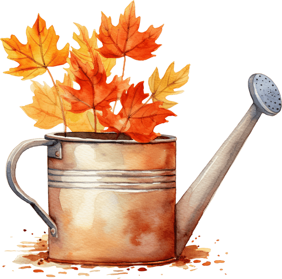 Watering Can - Ready To Press DTF Transfers - Buy Bulk DTF