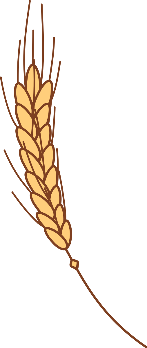 Wheat - 01 - Ready To Press DTF Transfer - Buy Bulk DTF