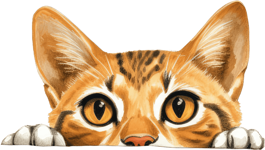 Whisker Winks - Ready to Press DTF Transfers - Buy Bulk DTF