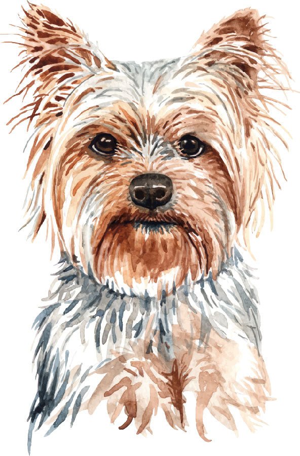 Yorkshire Terrier Ready To Press DTF Transfer - Buy Bulk DTF